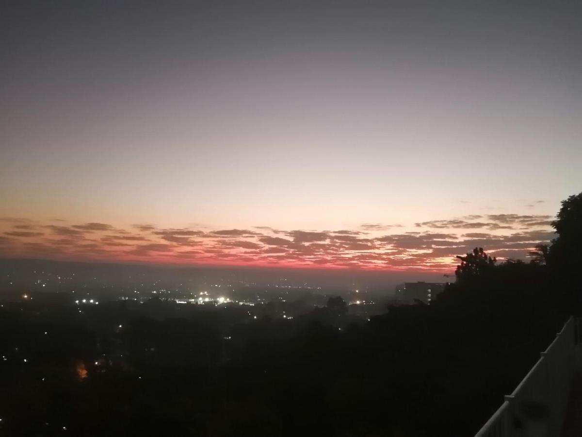 Palm View Guest House Pretoria Bagian luar foto
