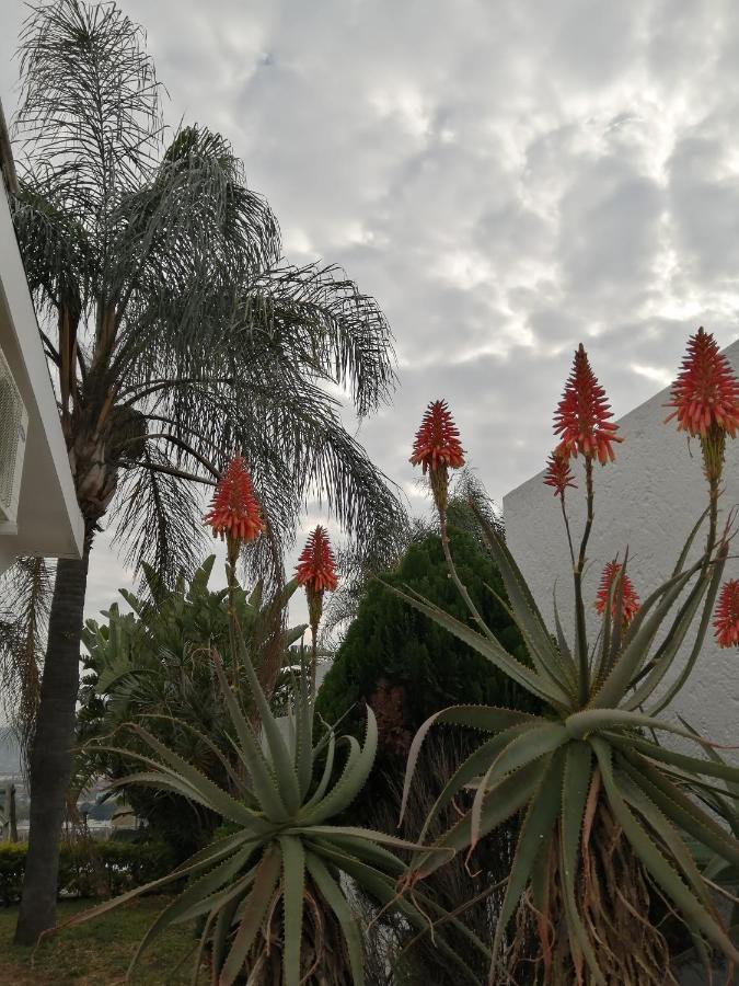 Palm View Guest House Pretoria Bagian luar foto